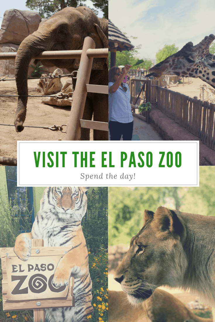 If you are local to El Paso you might already know that the El Paso Zoo is a pretty amazing place to visit. If you're traveling through El Paso, you should definitely put the El Paso Zoo on your list of things to do.