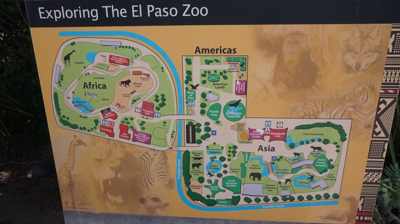 If you are local to El Paso you might already know that the El Paso Zoo is a pretty amazing place to visit. If you're traveling through El Paso, you should definitely put the El Paso Zoo on your list of things to do.