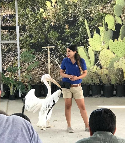 If you are local to El Paso you might already know that the El Paso Zoo is a pretty amazing place to visit. If you're traveling through El Paso, you should definitely put the El Paso Zoo on your list of things to do.