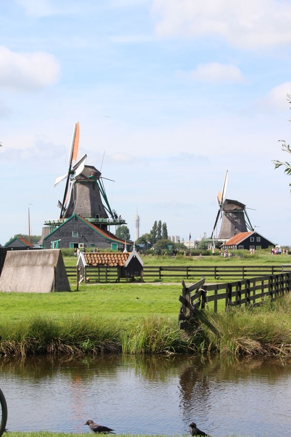things to do in Holland windmills