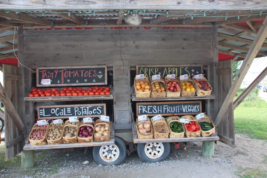 Last month when I spent some time in the Wilmington Beaches area, I was invited to experience the Carolina Beach Tasting History Tour. If you're a foodie like me, this is the perfect activity for an afternoon in Carolina Beach.