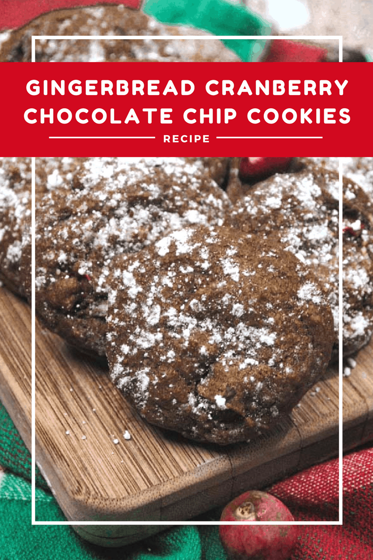 Gingerbread Cranberry Chocolate Chip Cookies your whole family will love!