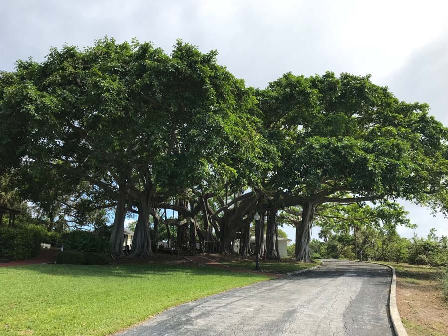 A couple of weeks ago I headed south here in Florida for a Palm Beaches getaway. I've been to West Palm Beach before, but it was many years ago and a quick trip. I wanted to experience the area as there is so much to do.