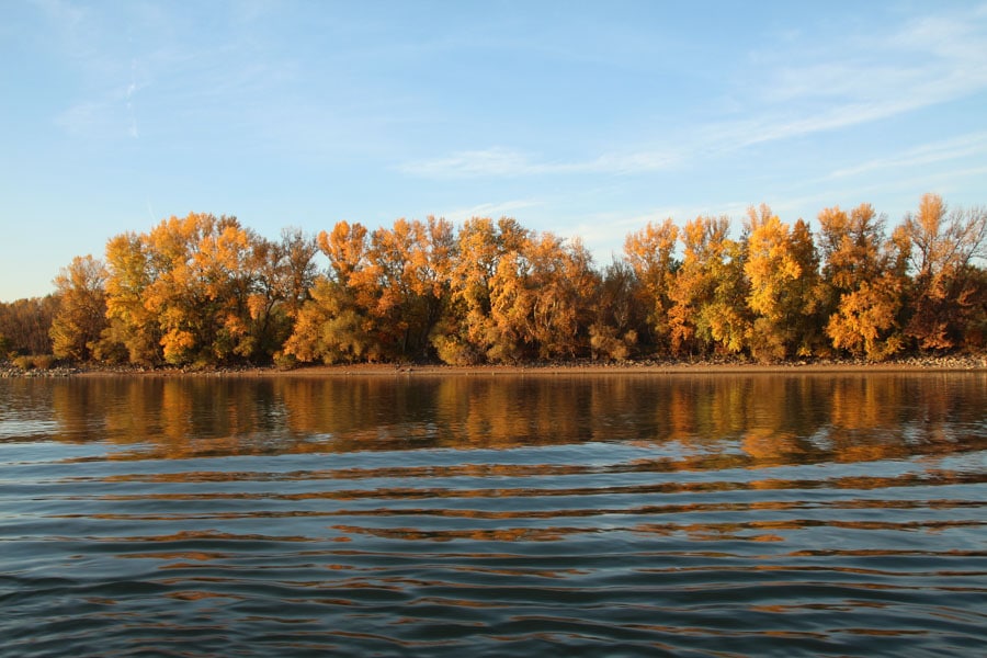 Fall colors on trees across river.