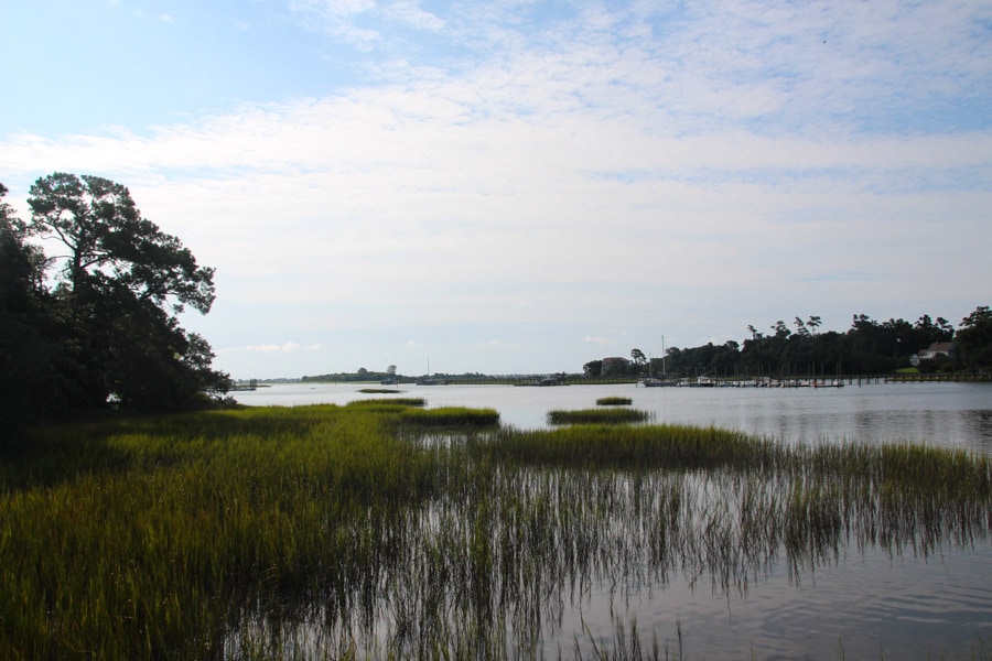 I walked around Airlie Gardens near Wilmington, and I finally understand why so many television shows were filmed there. My pictures don’t do it justice!