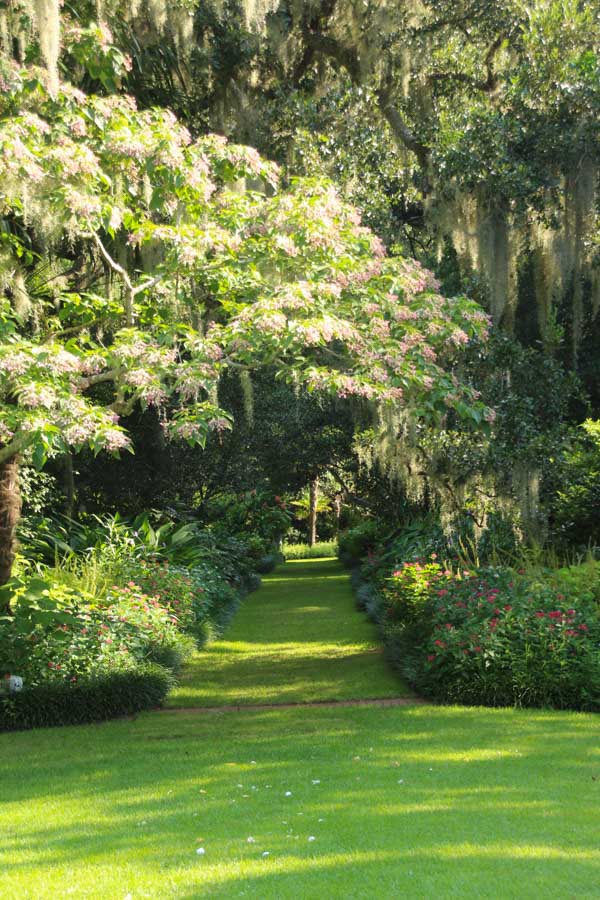 I walked around Airlie Gardens near Wilmington, and I finally understand why so many television shows were filmed there. My pictures don’t do it justice!