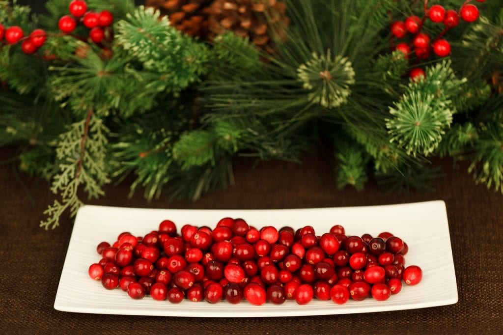 It's beginning to look a lot like Christmas parties! What could be more festive than a Cranberry Moscow Mule? 