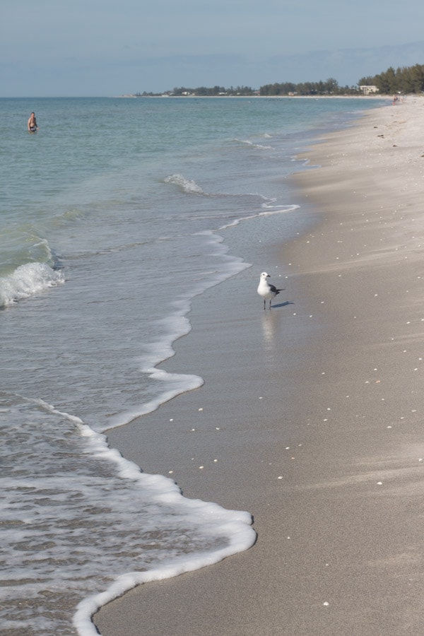 Living within 30 minutes from the Gulf of Mexico, I was so excited when I heard about a new Longboat Key resort right on the water.