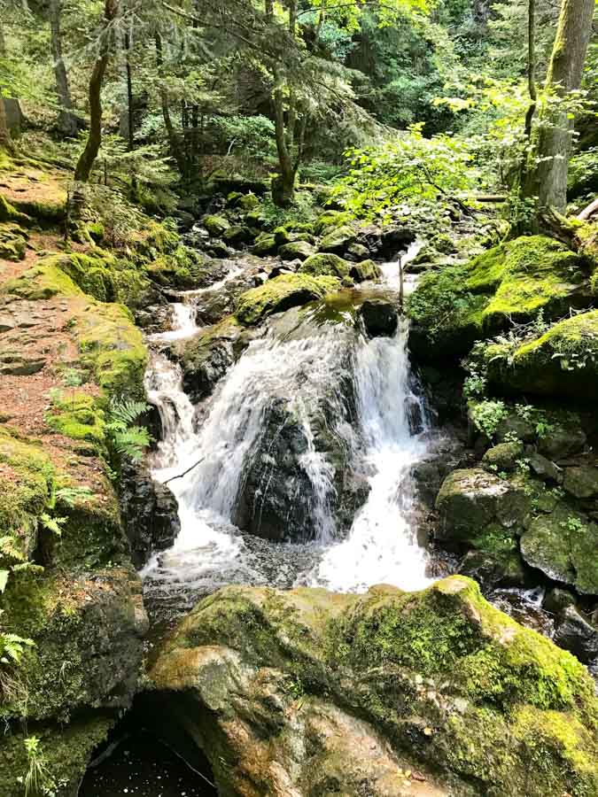 If you're planning a trip to the Black Forest Germany and wondering about what to do, you'll be surprised at how many diverse activities you'll find. Black Forest hiking was my daughters favorite part of the trip!