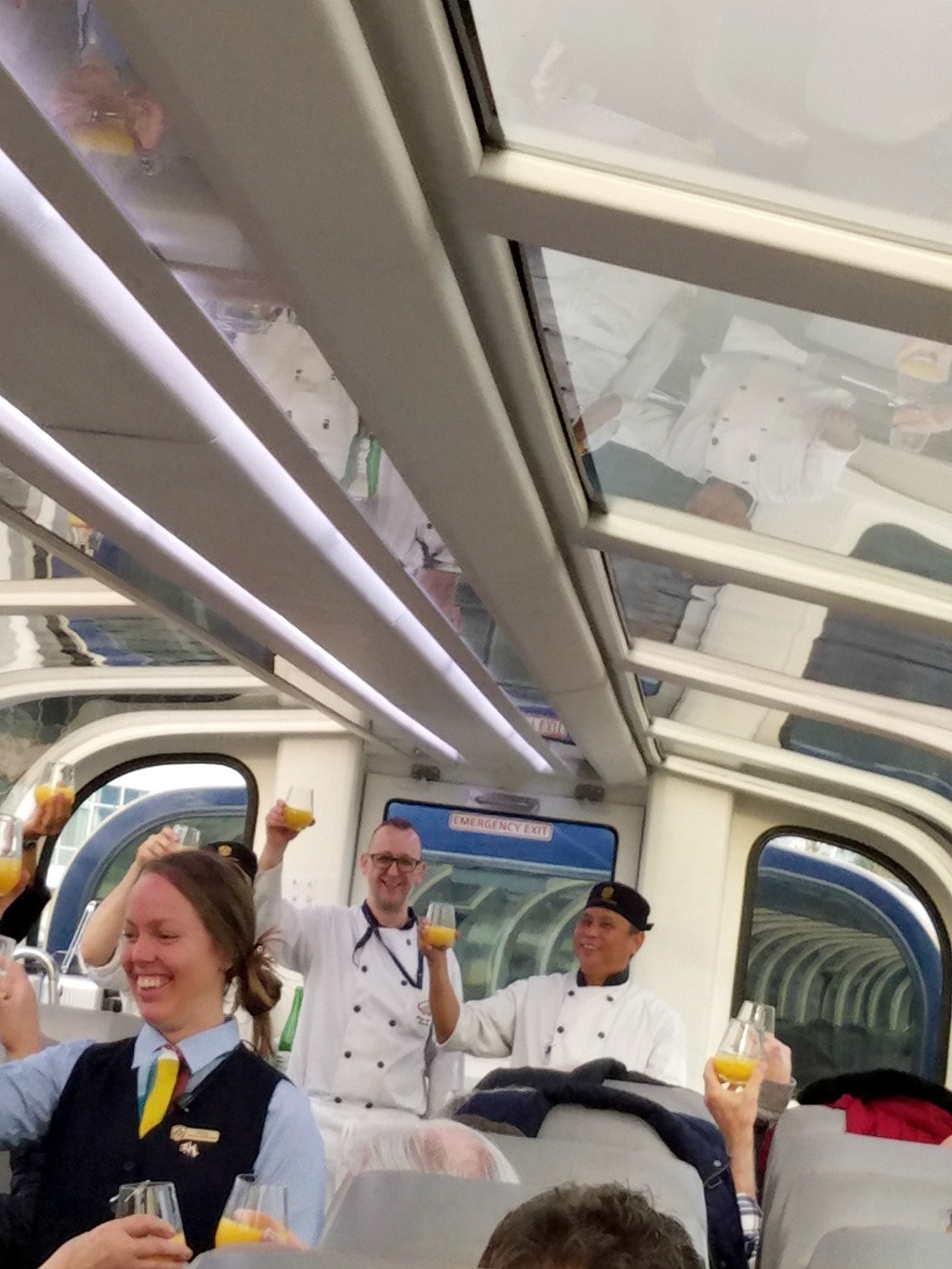 People celebrating on train.