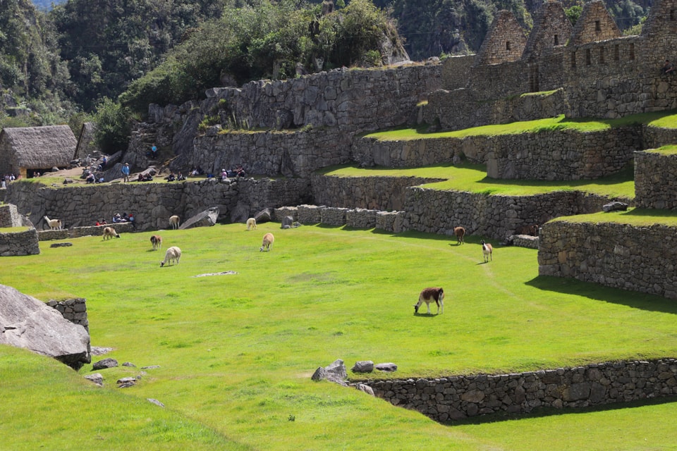 It's important to know the best time to visit Machu Picchu. It's a long journey for most of us and you'll want to be able to have the experience of a lifetime.