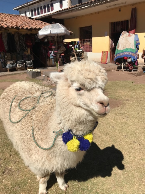 From the stunning mountains to the lush valleys, Peru should be on your travel bucket list. If you want to visit ancient ruins, then the region of Cusco Peru is where you should stay.