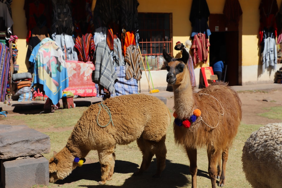 From the stunning mountains to the lush valleys, Peru should be on your travel bucket list. If you want to visit ancient ruins, then the region of Cusco Peru is where you should stay.