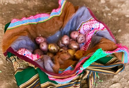Cusco Tour: Potato Park