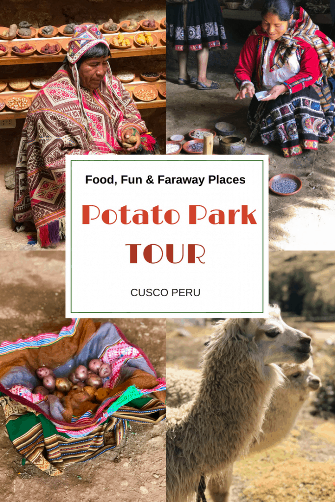 No visit to Sacred Valley Peru is complete without this Cusco tour of Potato Park, locally referred to as Parque de la Papa, where guests can learn about the most important crop to Peruvian cuisine, the potato. #PotatoPark #CuscoPeru #GAdventures #PeruVacation #SouthAmerica #AdventureTravelPeru #AdventureTravel