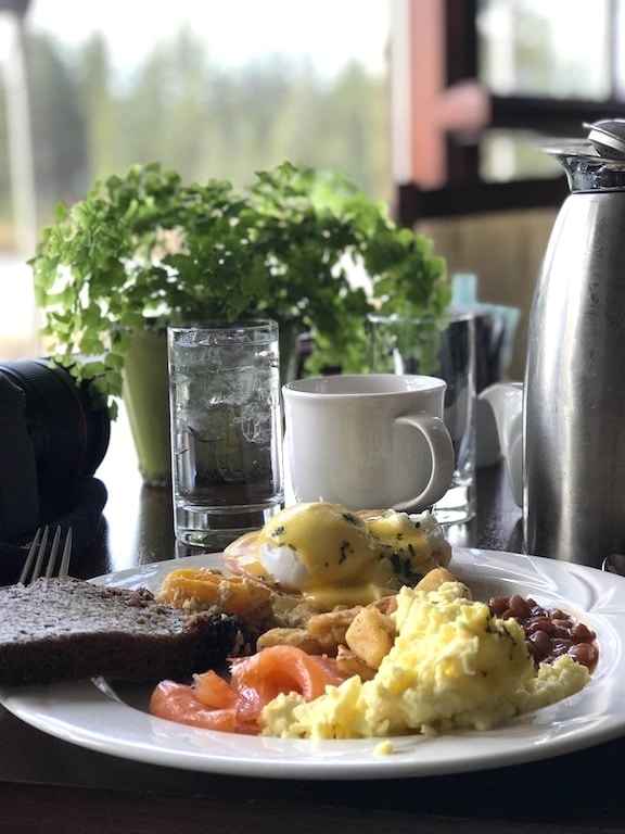 Scrambled eggs, salmon, eggs Benedict, toast, baked beans on white plate.