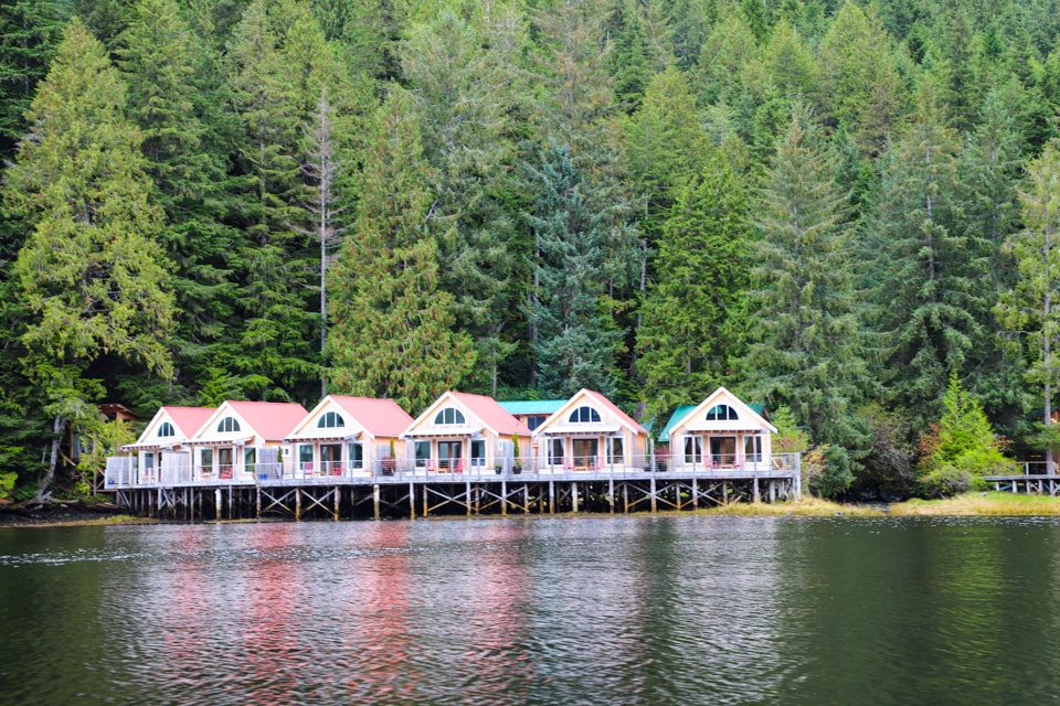 If you've ever thought about a luxury wilderness vacation, Nimmo Bay is the spot. With incredible opportunities to see whales, bears, and other wildlife, nature fans will be in heaven.