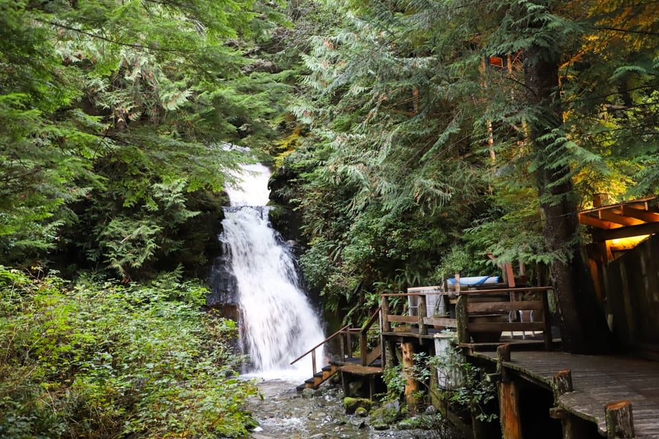 If you've ever thought about a luxury wilderness vacation, Nimmo Bay is the spot. With incredible opportunities to see whales, bears, and other wildlife, nature fans will be in heaven.