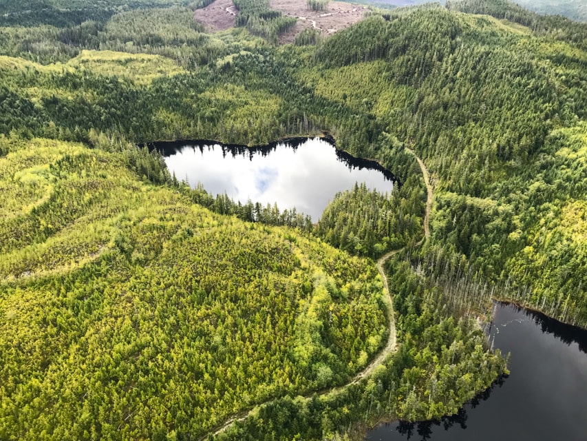 If you've ever thought about a luxury wilderness vacation, Nimmo Bay is the spot. With incredible opportunities to see whales, bears, and other wildlife, nature fans will be in heaven.