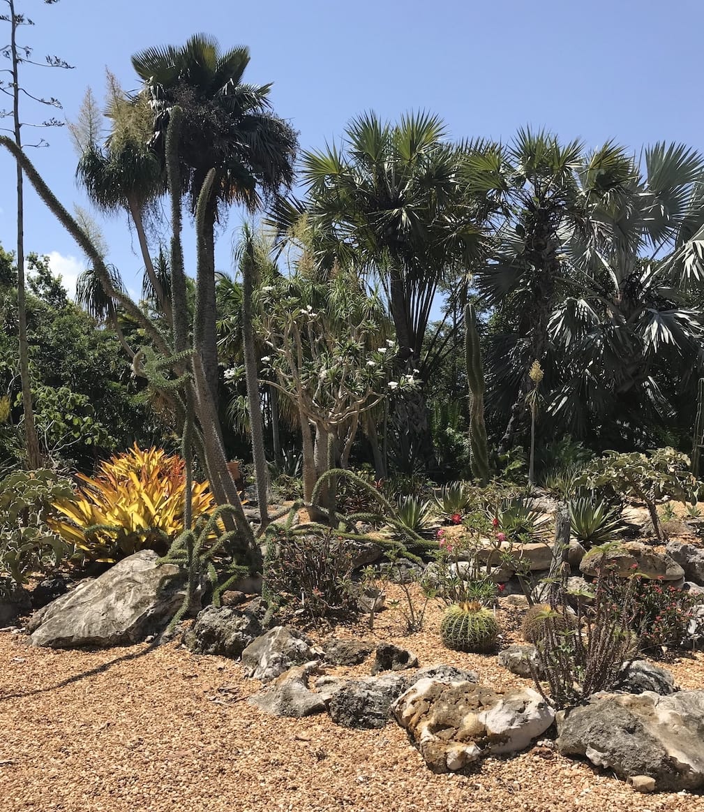 Selby gardens landscape.