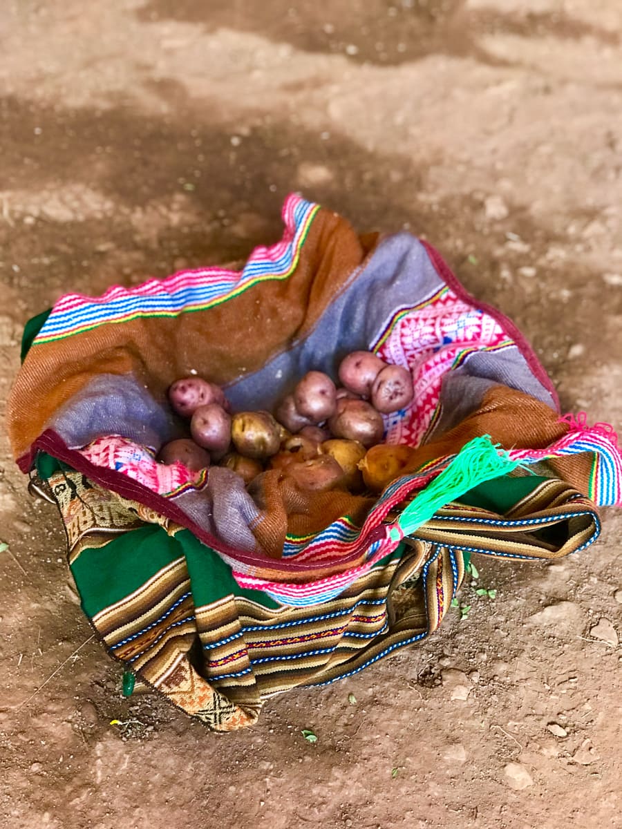 Peruvian Shrimp Causa with potatoes