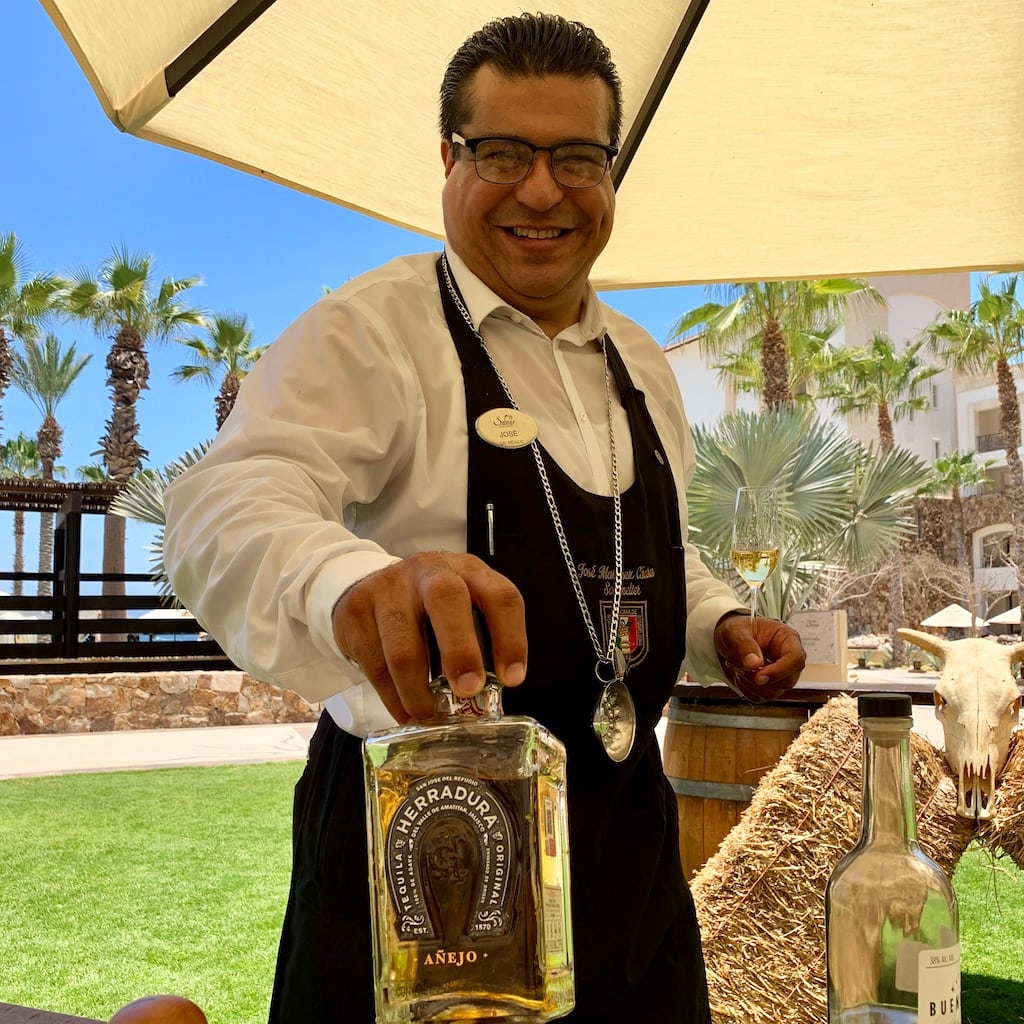 There's something for everyone at Solmar Resorts in Cabo San Lucas, with two luxury resorts and another that's more economical. Which would you choose?