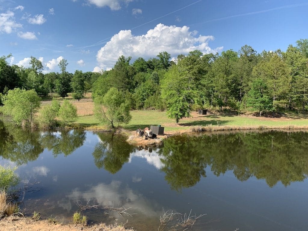 Ritz Carlton Lake Oconee is a golf and nature lovers paradise. With gorgeous views, lots of outdoor activies, and great dining, this is a must visit resort.