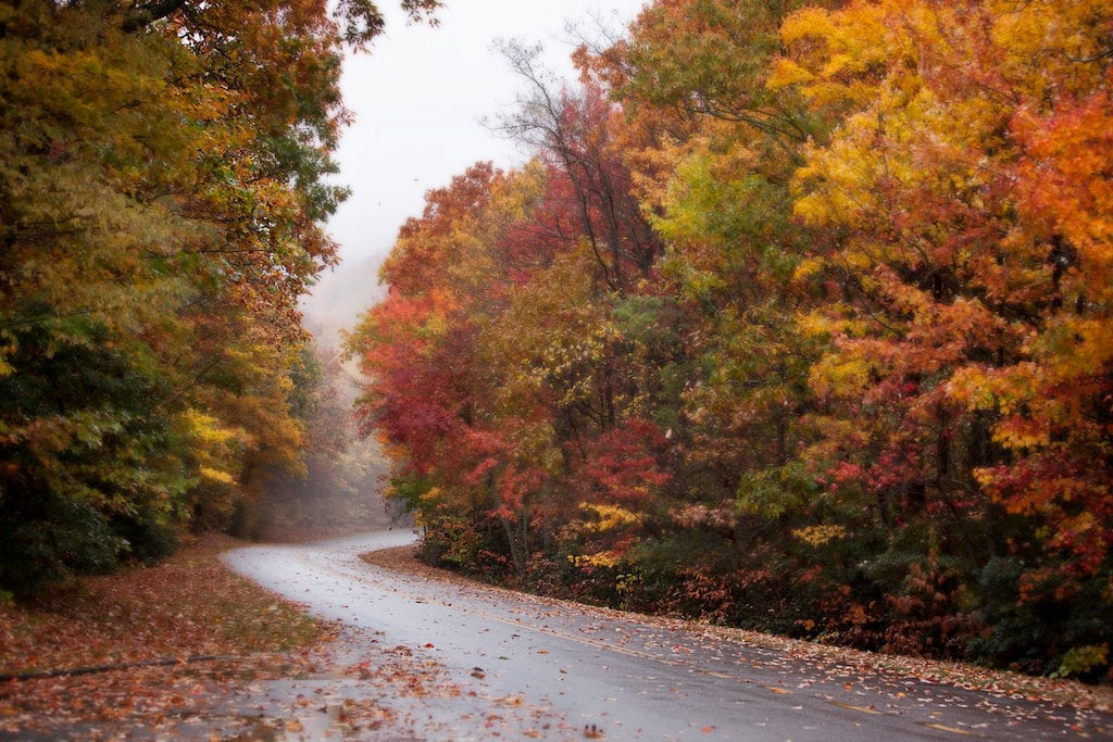 The east coast has incredible fall foliage from Georgia to Maine. Take in the autumn splendor of the coast and inland areas of these gorgeous destinations.