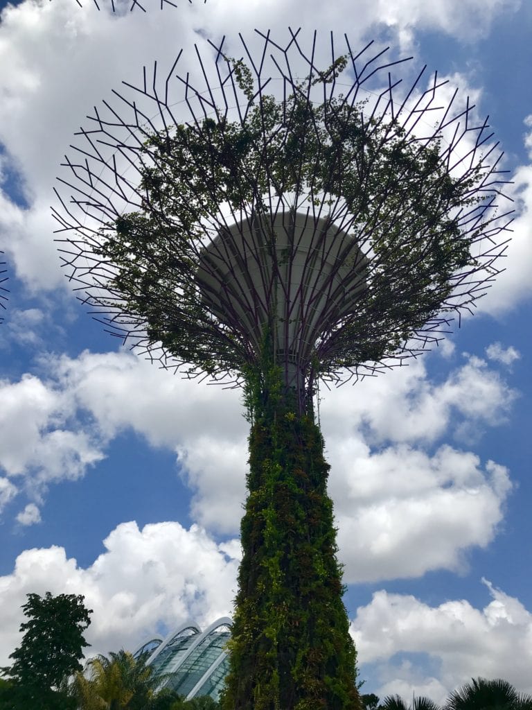 One day in Singapore is really not enough to experience all this cosmopolitan city has to offer, but what do you do when that's all you have?