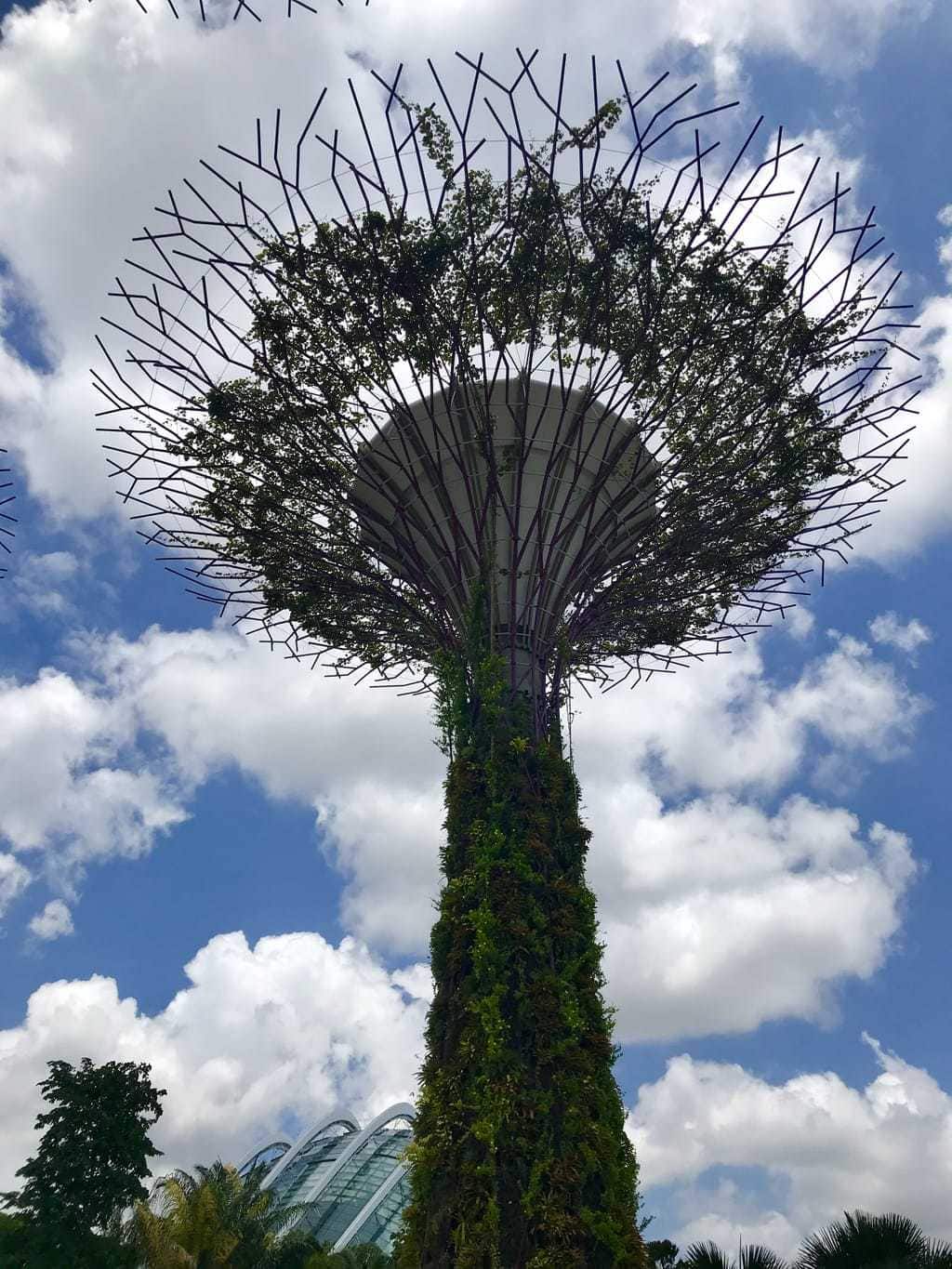 Singapore Attractions – Can’t Miss Spots  