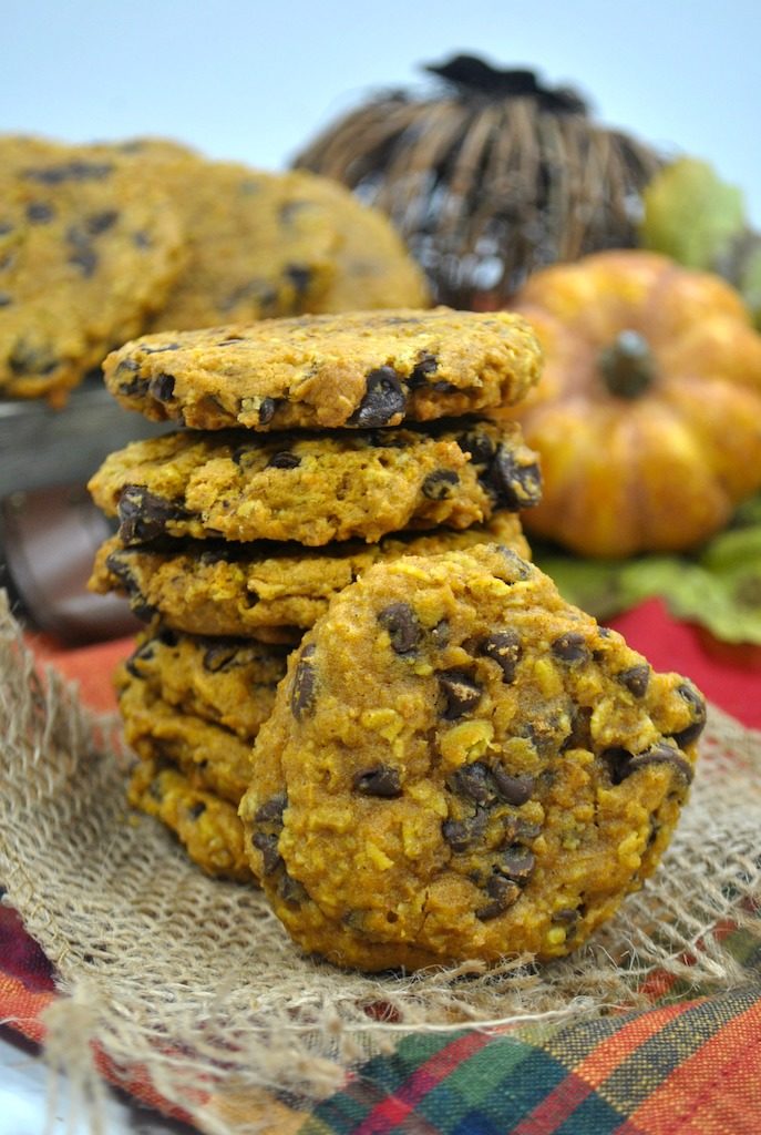 Adding oatmeal and chocolate chips to these pumpkin cookies take them to a whole new level! This is the perfect recipe for fall.