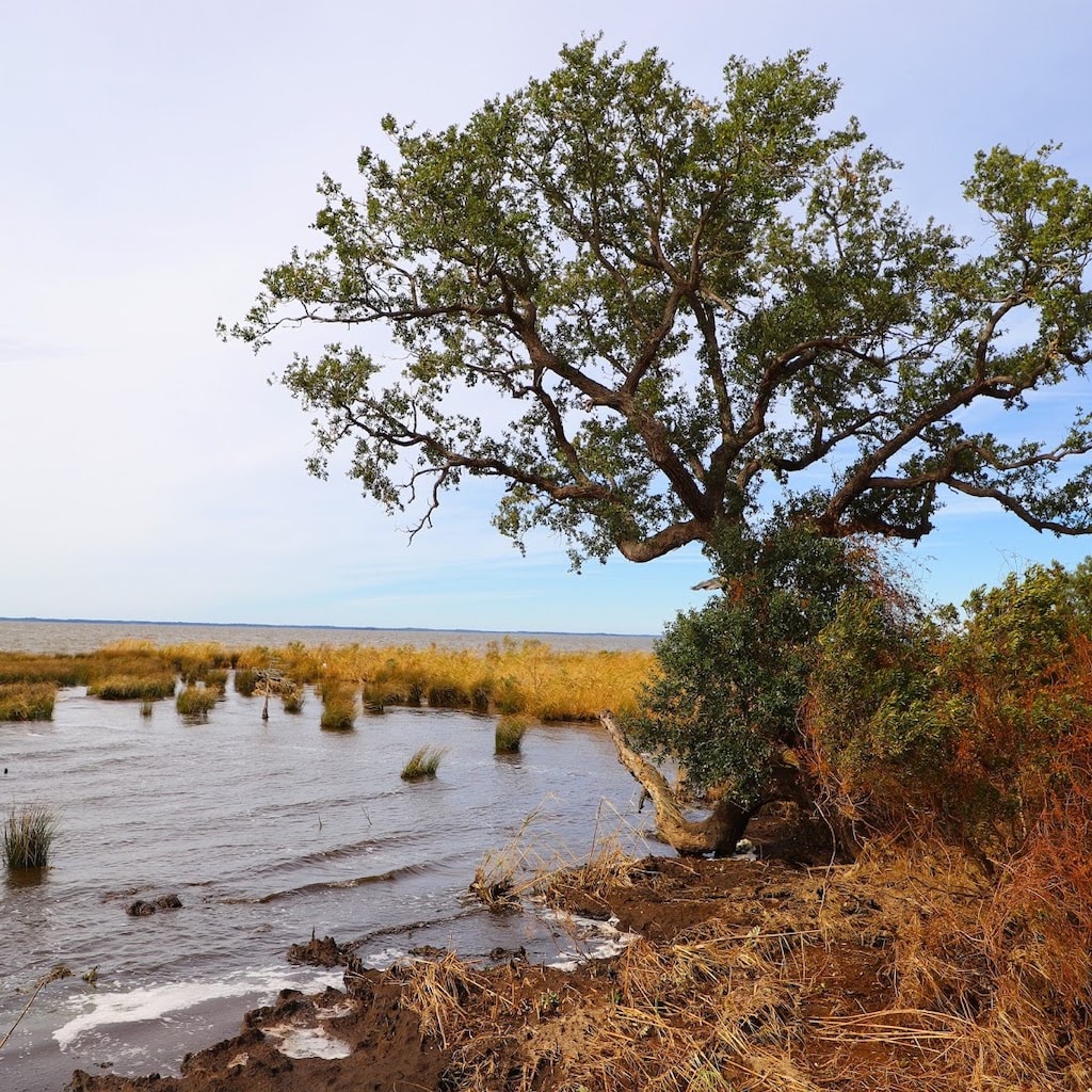 The east coast has incredible fall foliage from Georgia to Maine. Take in the autumn splendor of the coast and inland areas of these gorgeous destinations.