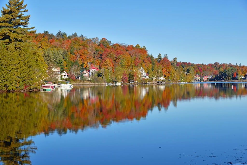 From Georgia to Maine, the east coast has incredible fall foliage to enjoy.