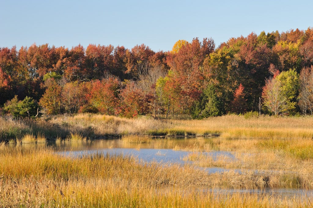 From Georgia to Maine, the east coast has incredible fall foliage to enjoy.