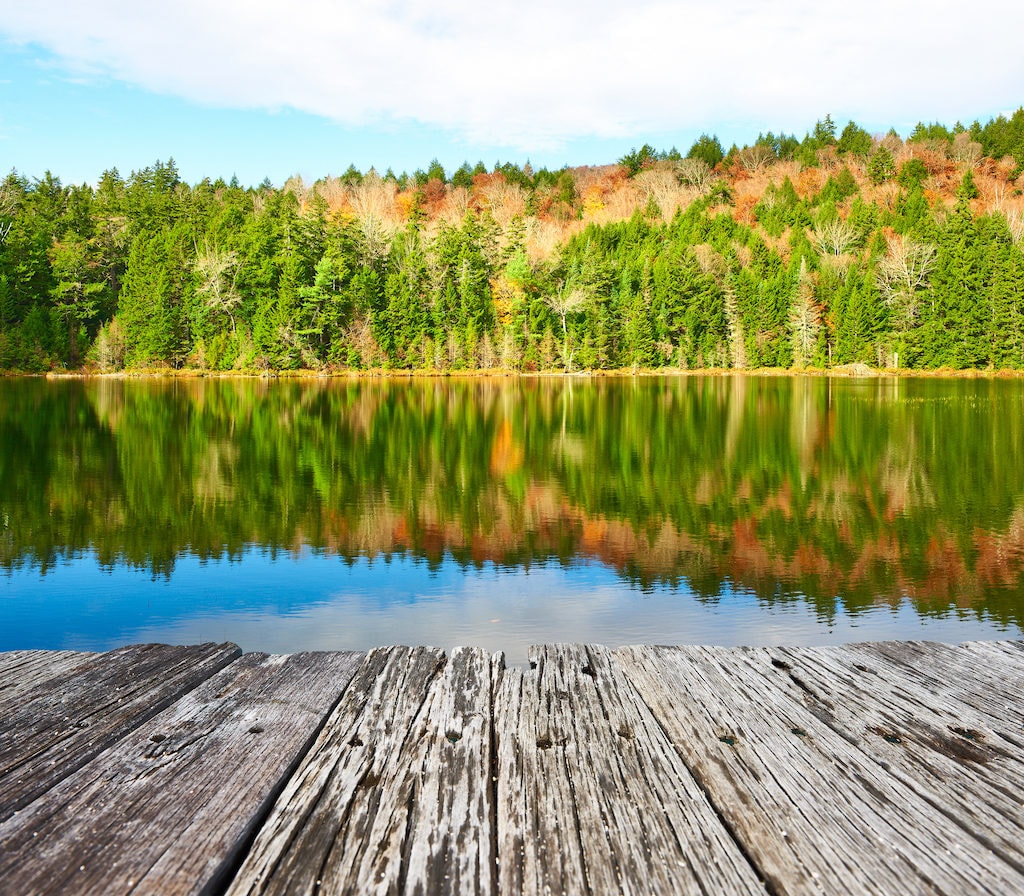 From Georgia to Maine, the east coast has incredible fall foliage to enjoy.