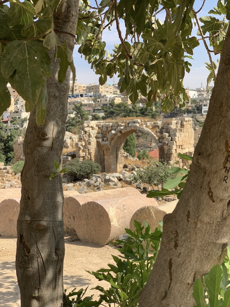 Touring the historic ruins of Jerash in Jordan was a fascinating experience, and a must when visiting this Hashemite Kingdom.