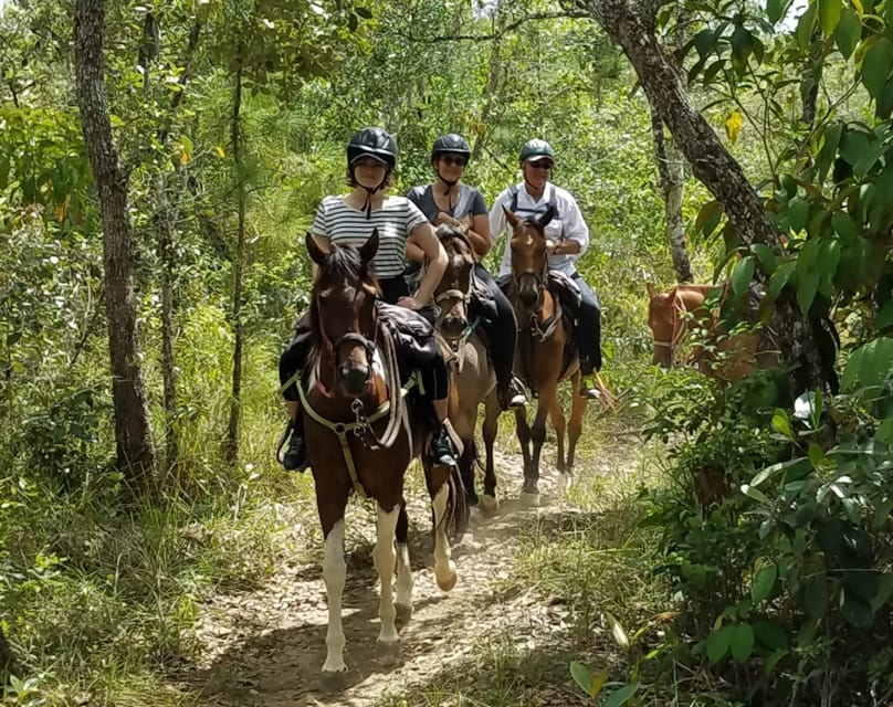 horseback riding Blancaneaux