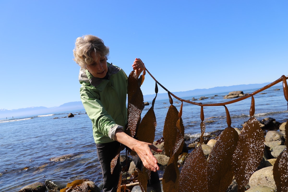 woman holding seaweed