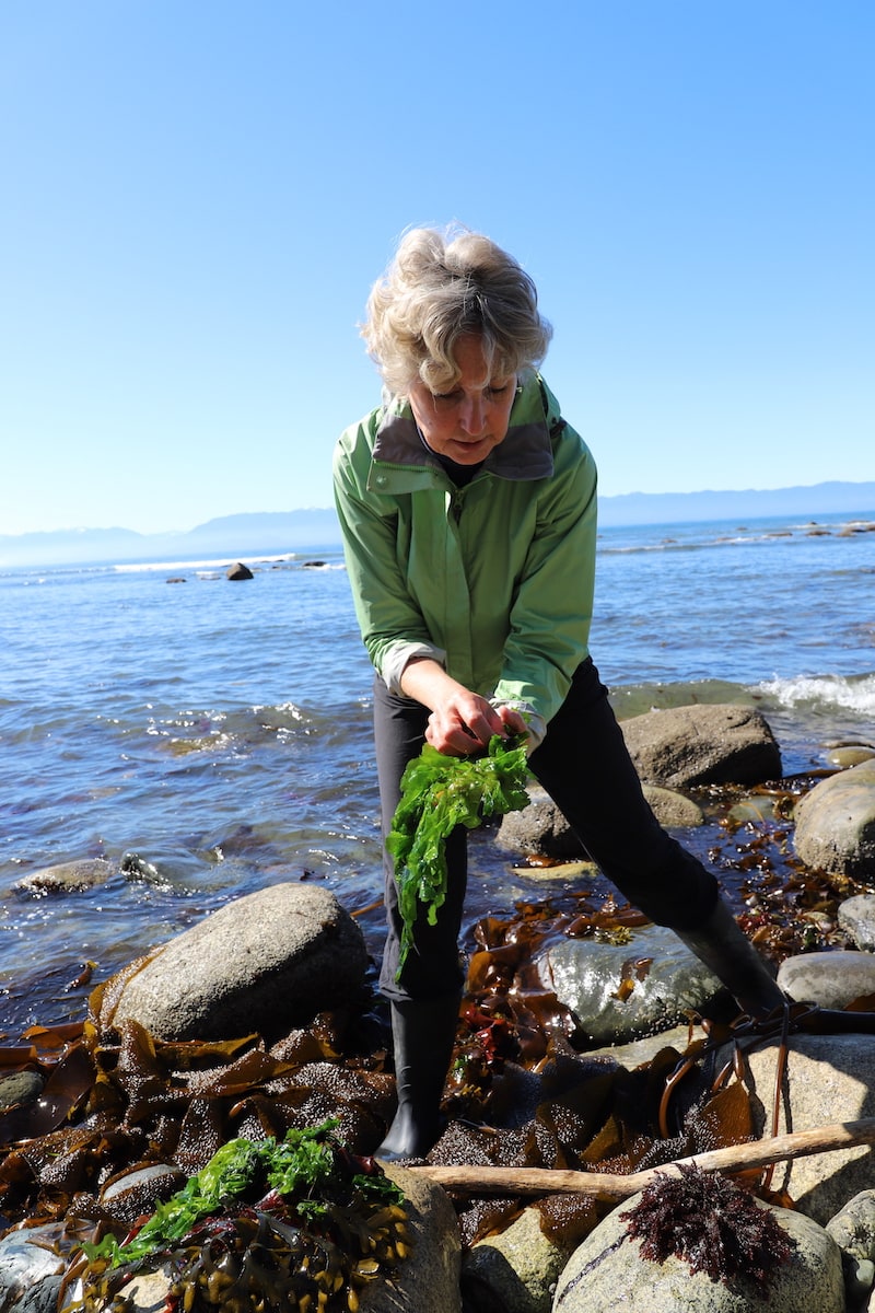 woman holding seaweed standing on rocks