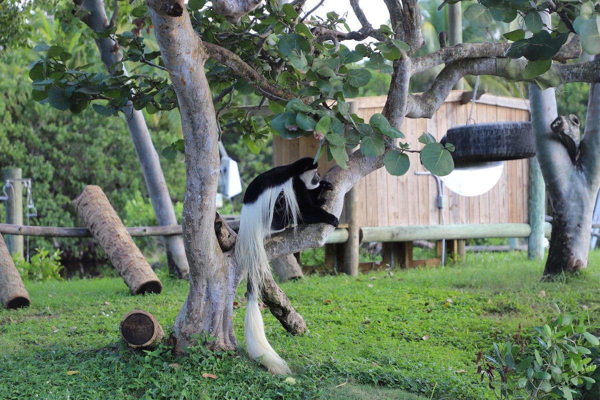 Naples Zoo