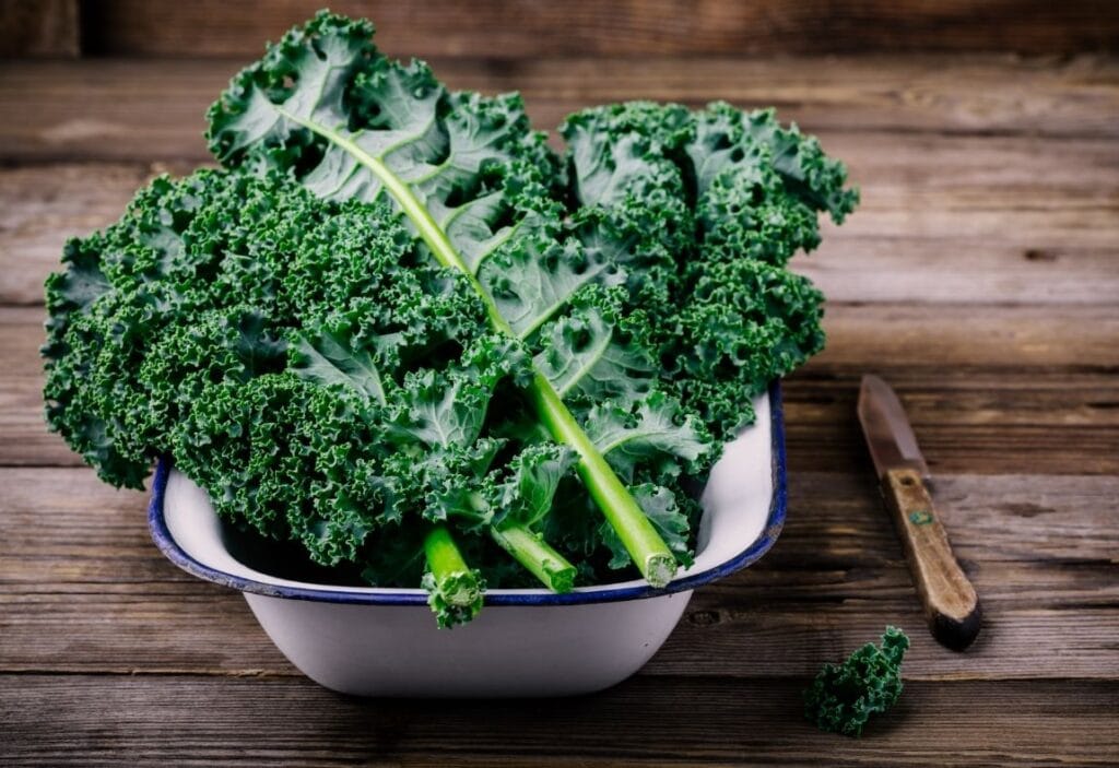 kale used in vegan salad bowl