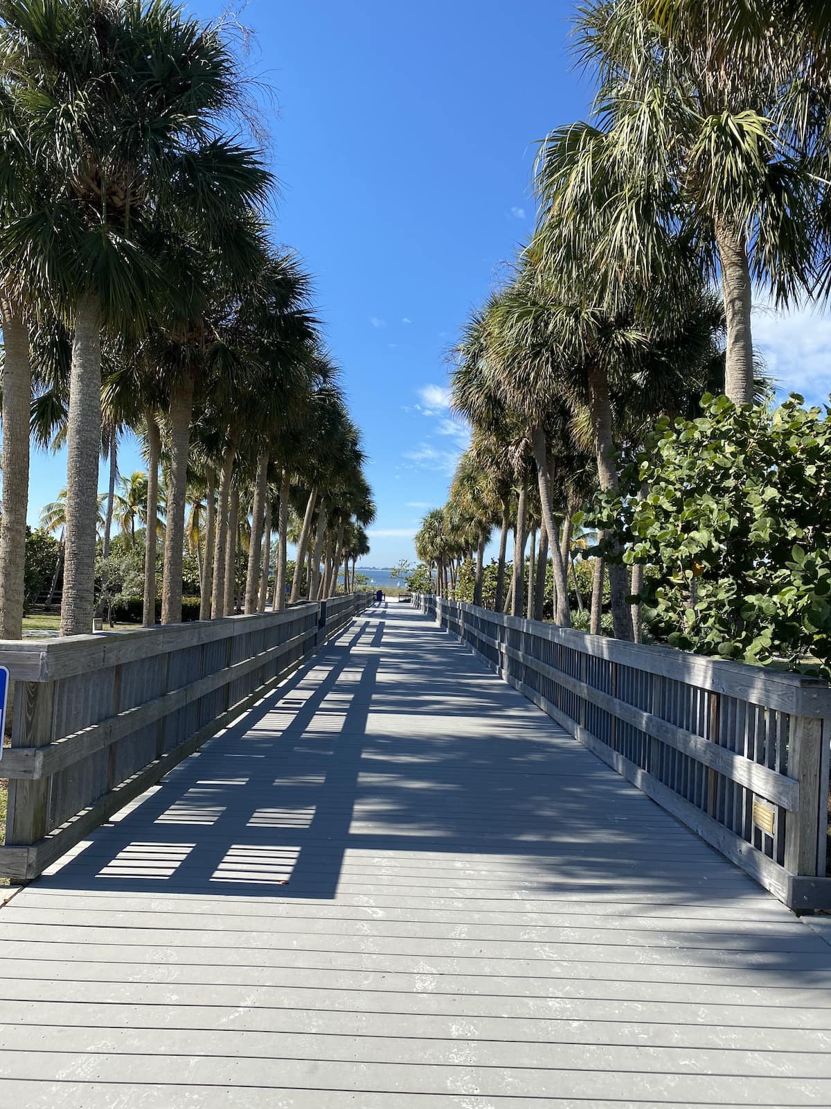 Bowditch Fort Myers Beach