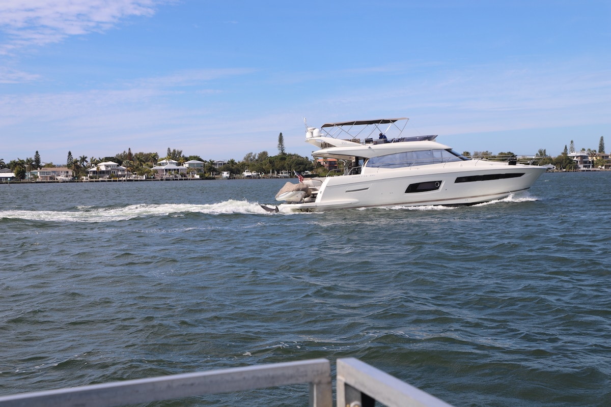 A dolphin cruise is a fun thing to do on Anna Maria Island.