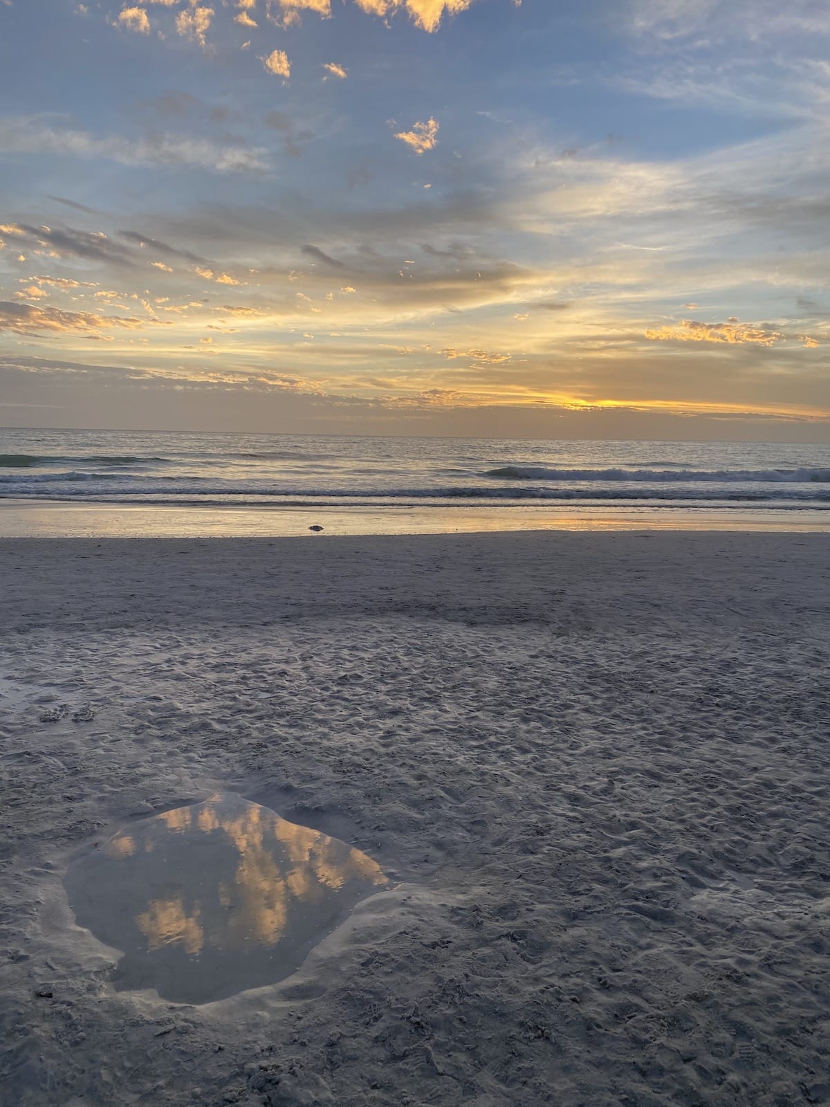 Anna Maria Island Beach at the Sandbar.