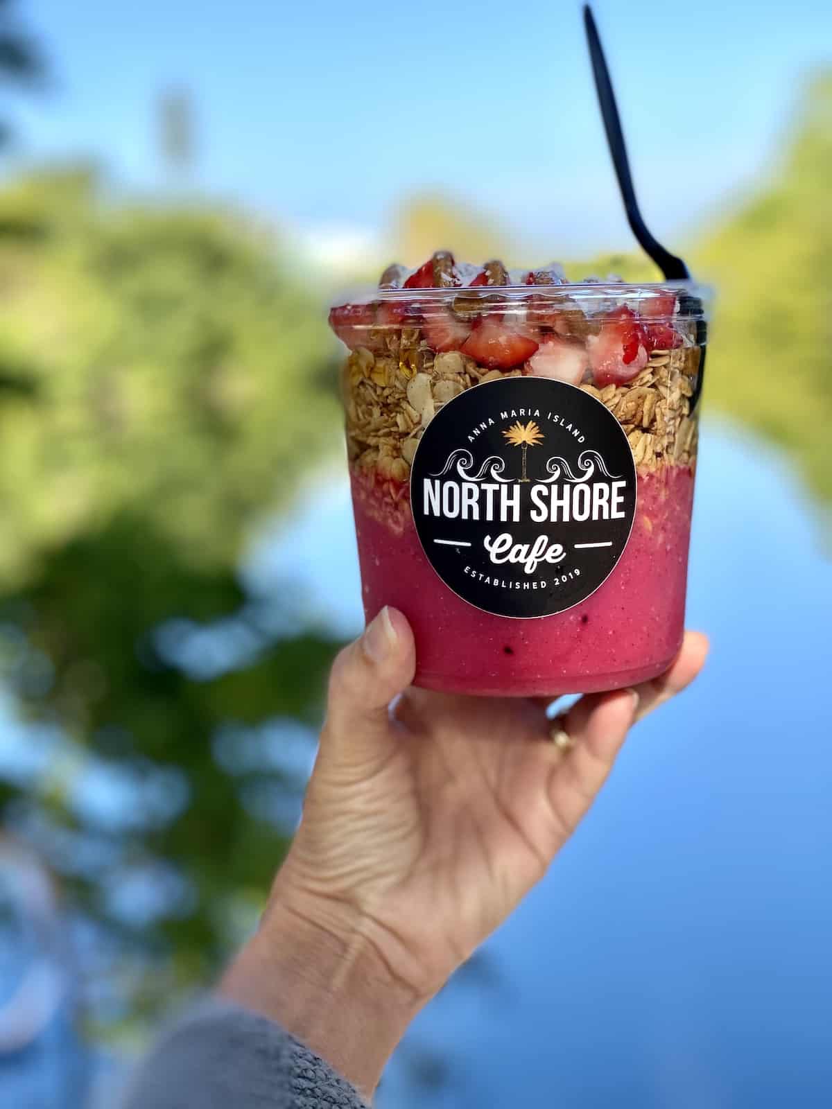 Smoothie Bowl with yogurt, granola, strawberries and almond butter with river in background.