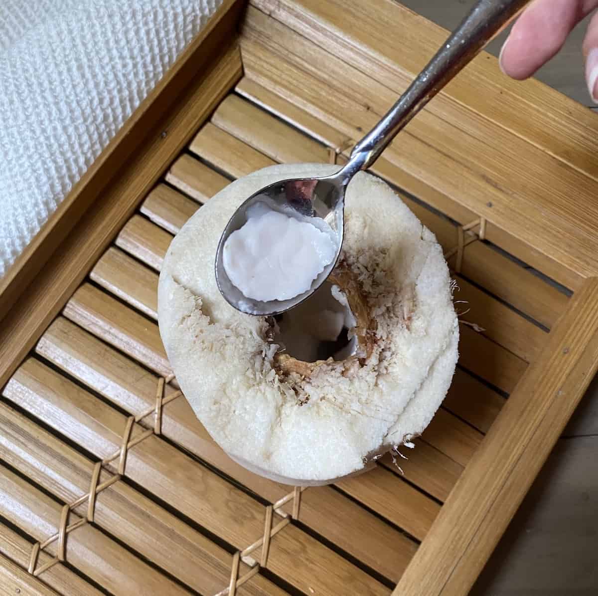 Young coconut in a spoon with half coconut behind on a tray.