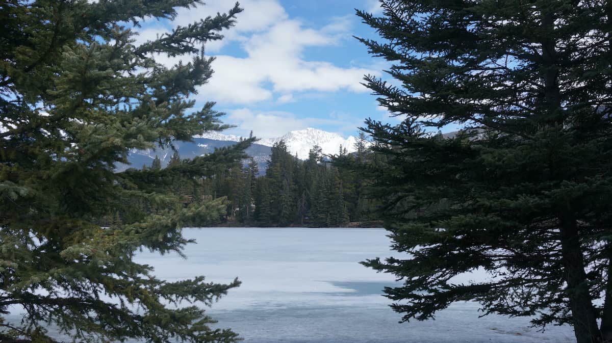 View through the trees of mountains in Jasper Alberta Canada.