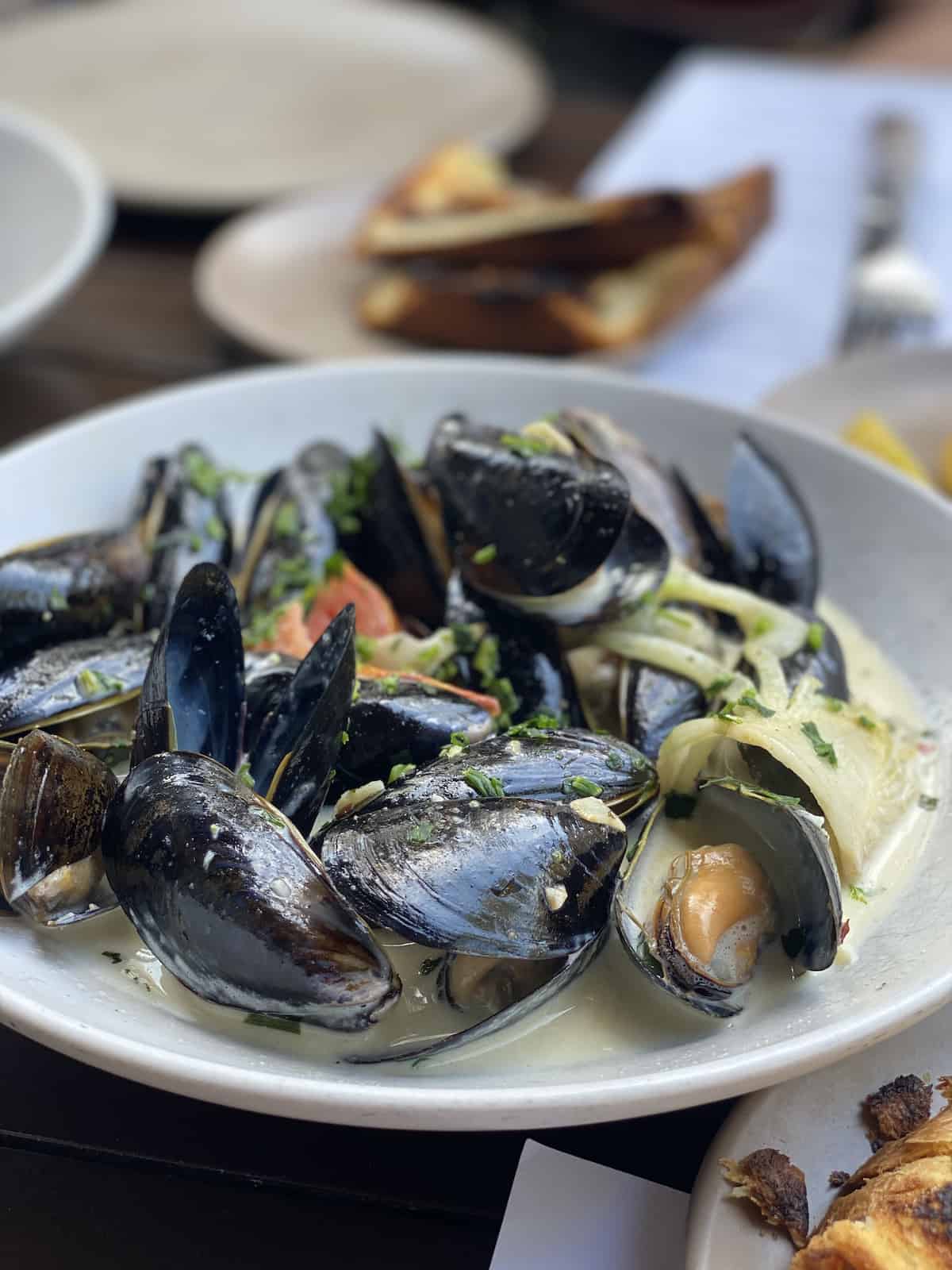 Mussels at Boca at Sarasota Restaurants.