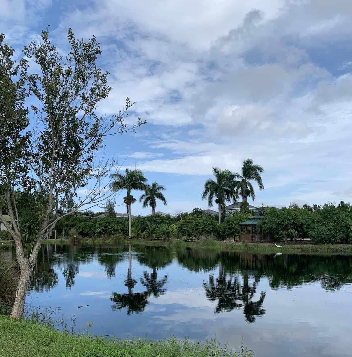 Robinson Preserve in Bradenton.