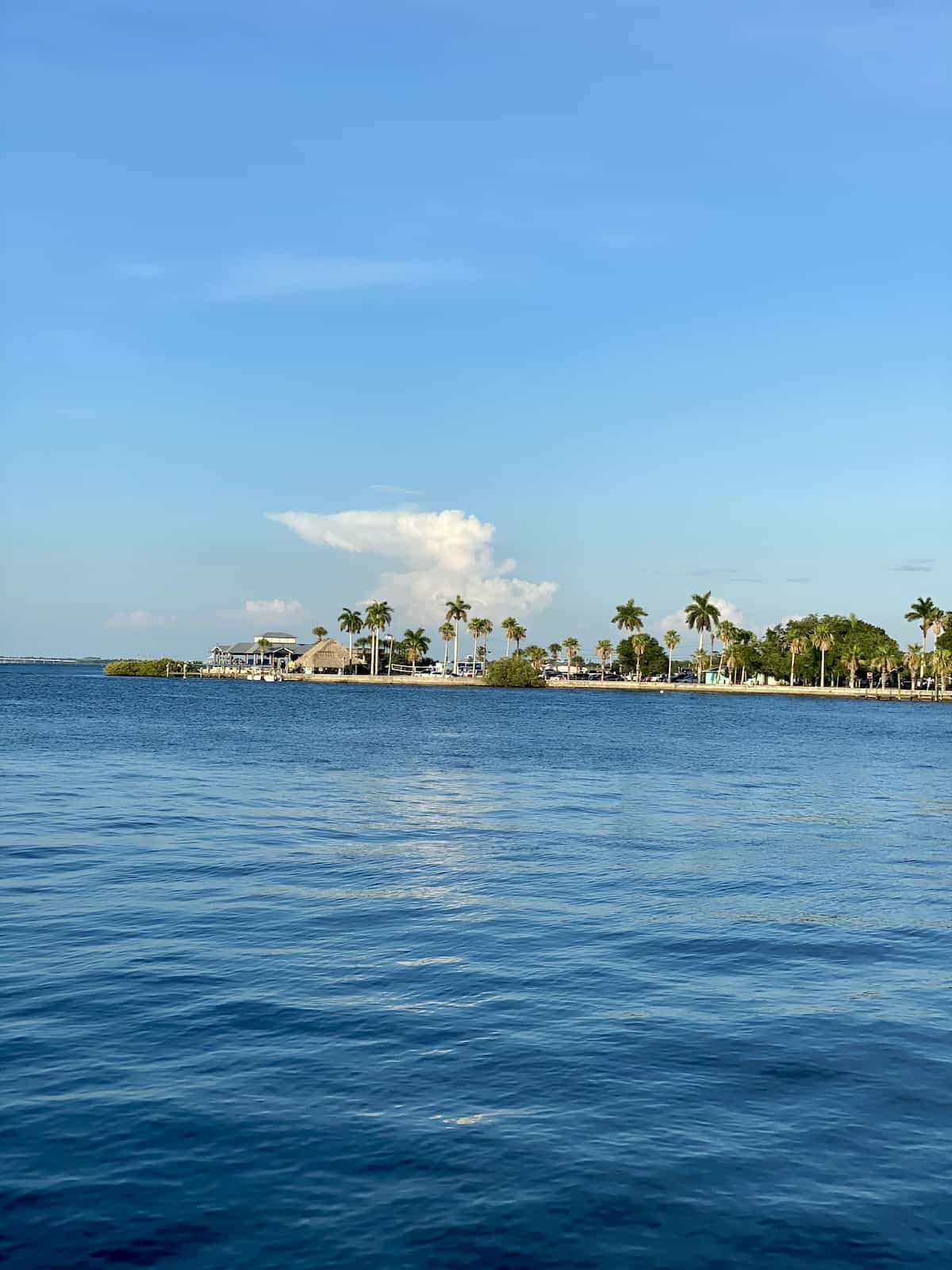 View from the Riverwalk in Bradenton.